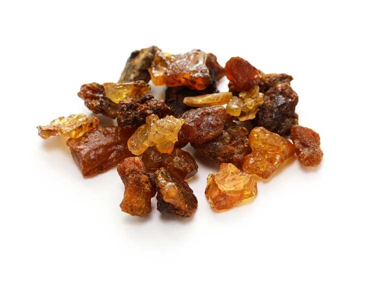 From Tree to Temple: The Journey of Our Myrrh from Northern Kenya to Your Home  Category: